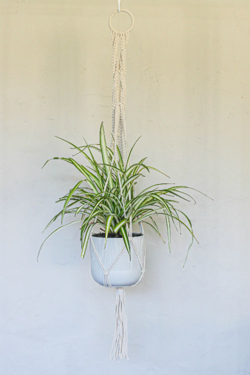 Barrel (Cotton cord (Offwhite)) image